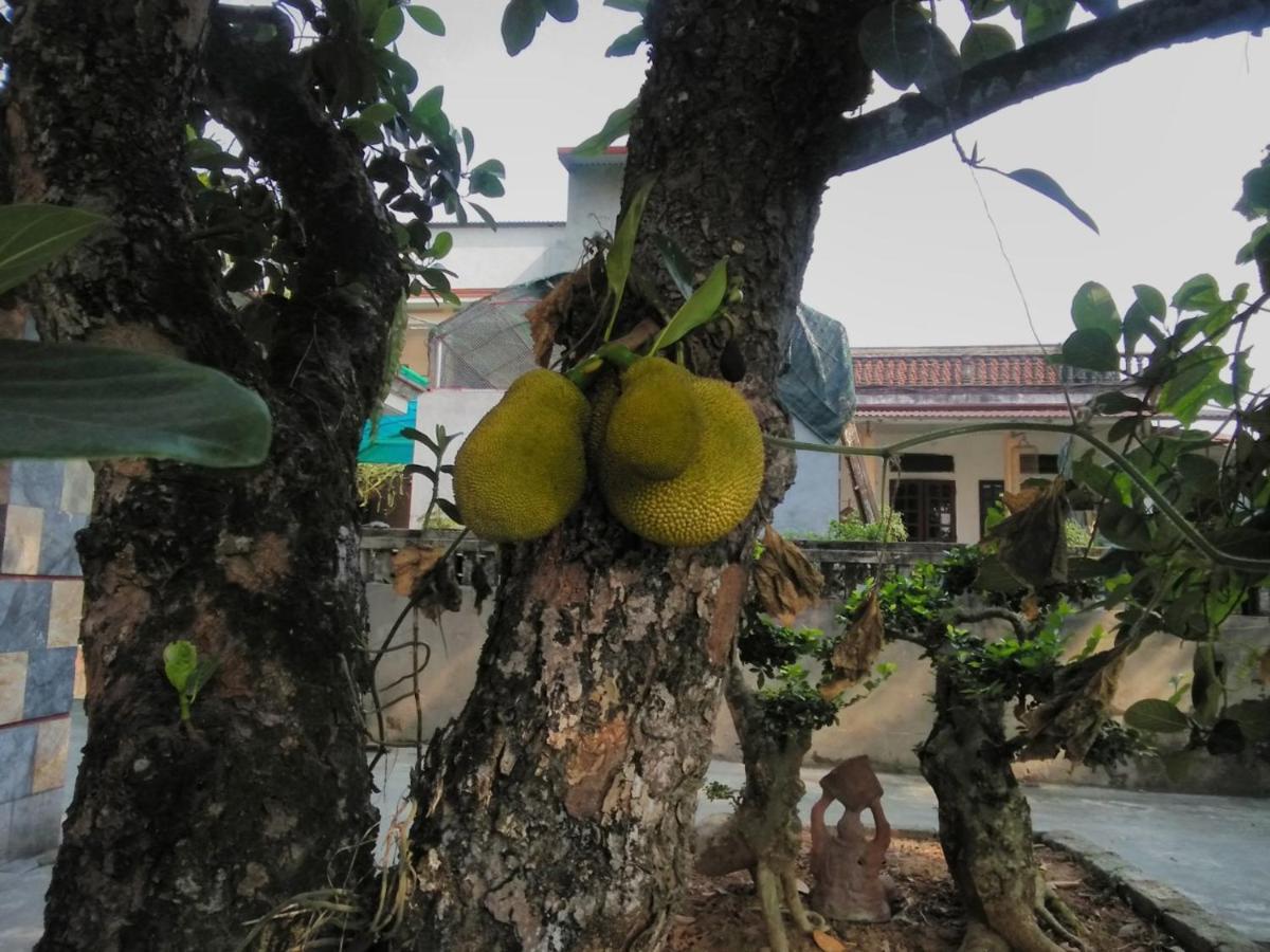 Little Trang An Homestay Ninh Binh Exterior foto